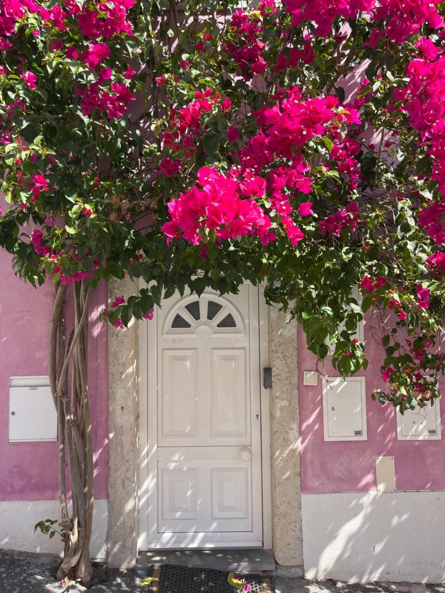 Casa Cor De Rosa Leilighet Lisboa Eksteriør bilde