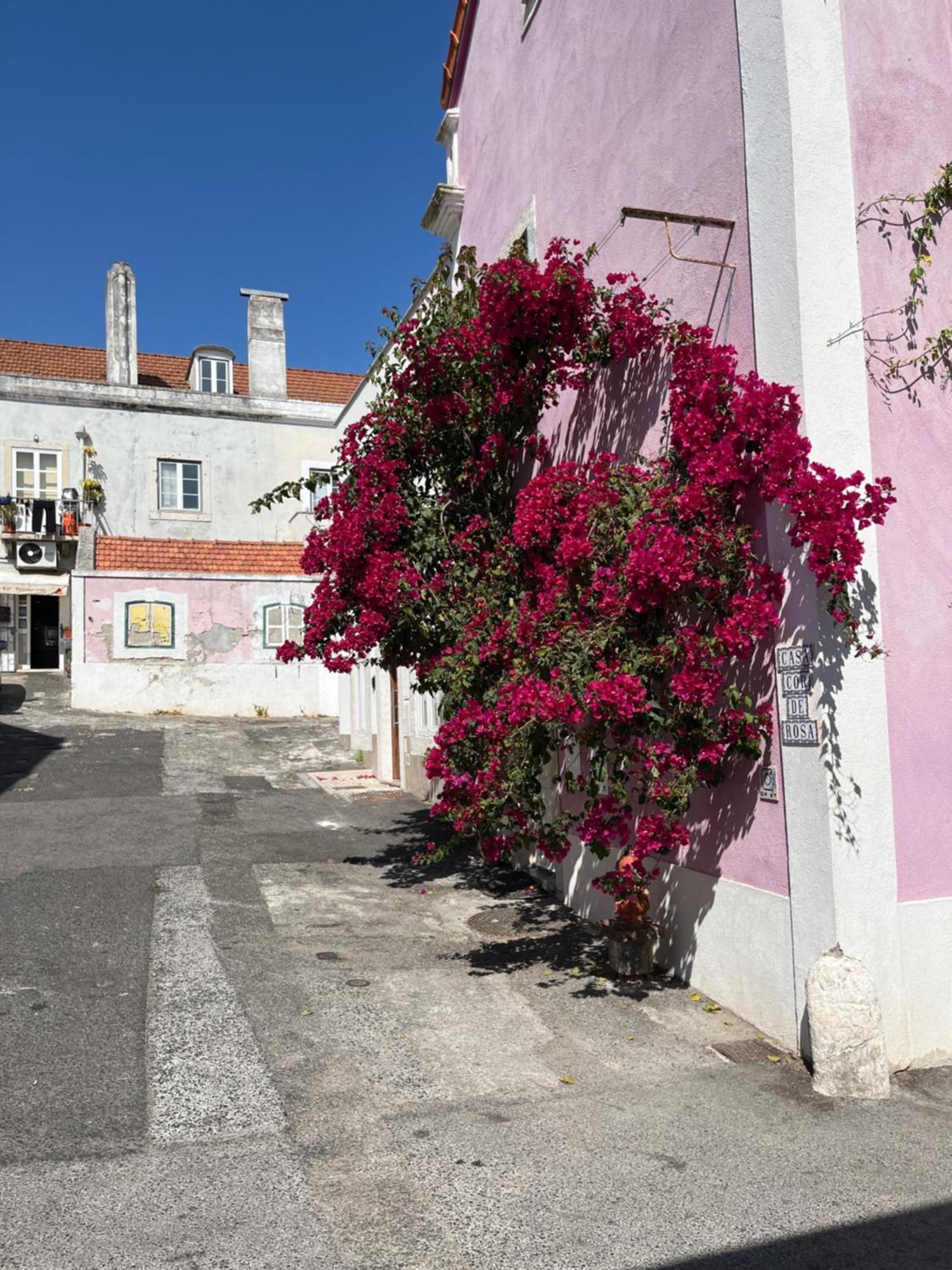 Casa Cor De Rosa Leilighet Lisboa Eksteriør bilde