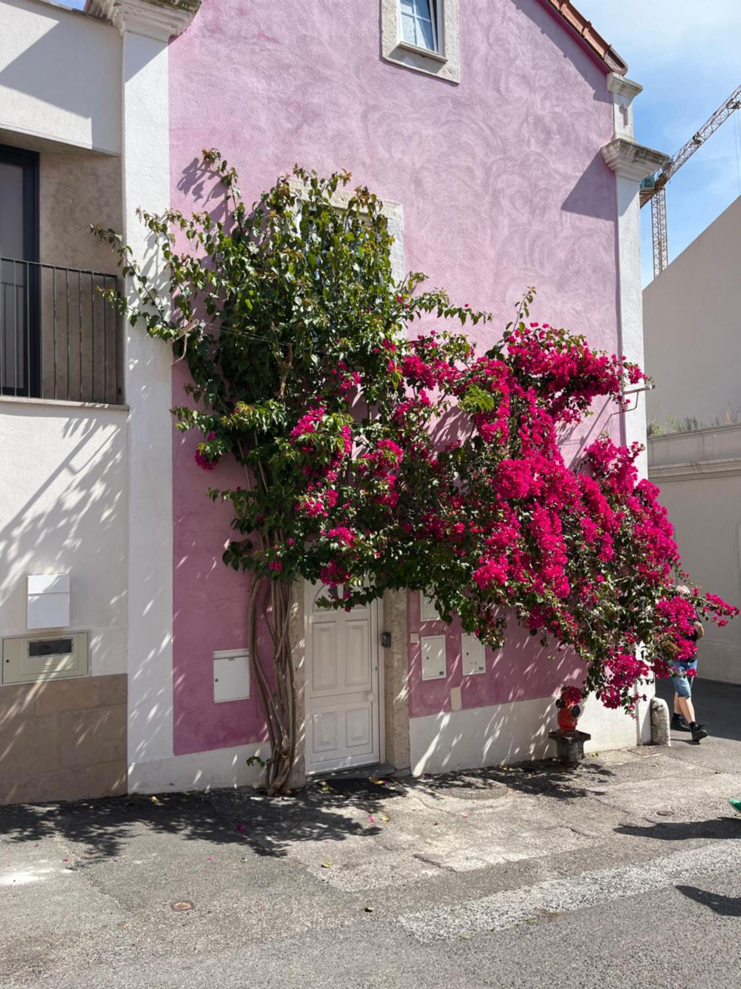Casa Cor De Rosa Leilighet Lisboa Eksteriør bilde